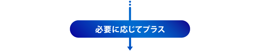 必要に応じてプラス
