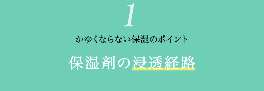 かゆくならない保湿のポイント「保湿剤の浸透経路」