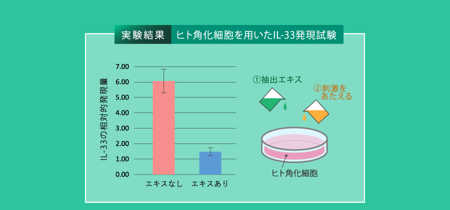 実験結果「角化細胞を用いたIL-33発現試験」