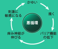 かゆみの悪循環
