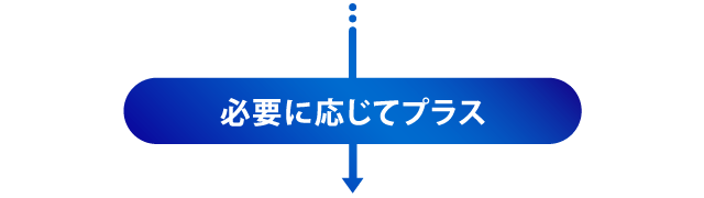 必要に応じてプラス