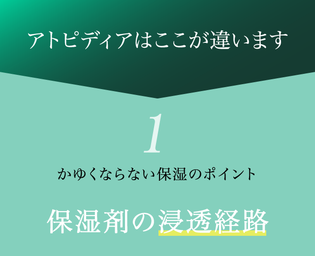 かゆくならない保湿のポイント「保湿剤の浸透経路」