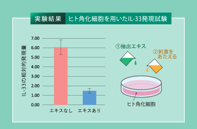 実験結果「ヒト角化細胞を用いたIL-33発現試験」