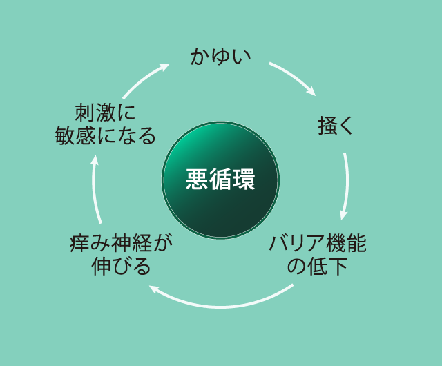 かゆみの悪循環