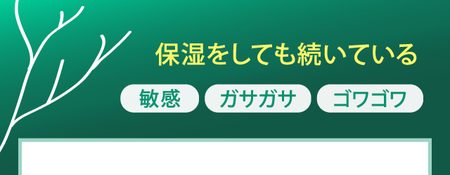 保湿をしても続ている敏感、ガサガサ、ゴワゴワ